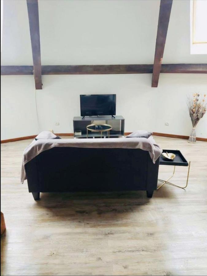 Superbe Appartement Cocooning Proche Des Thermes Vittel Eksteriør bilde